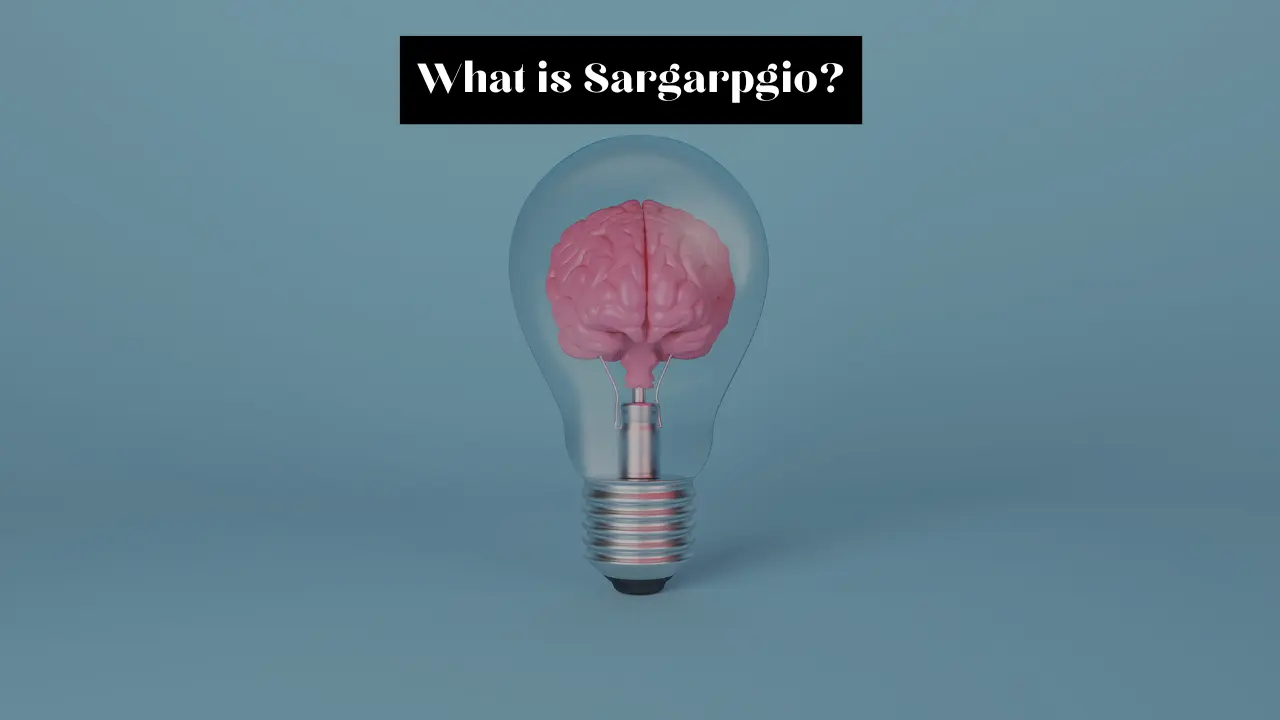 What is Sargarpgio