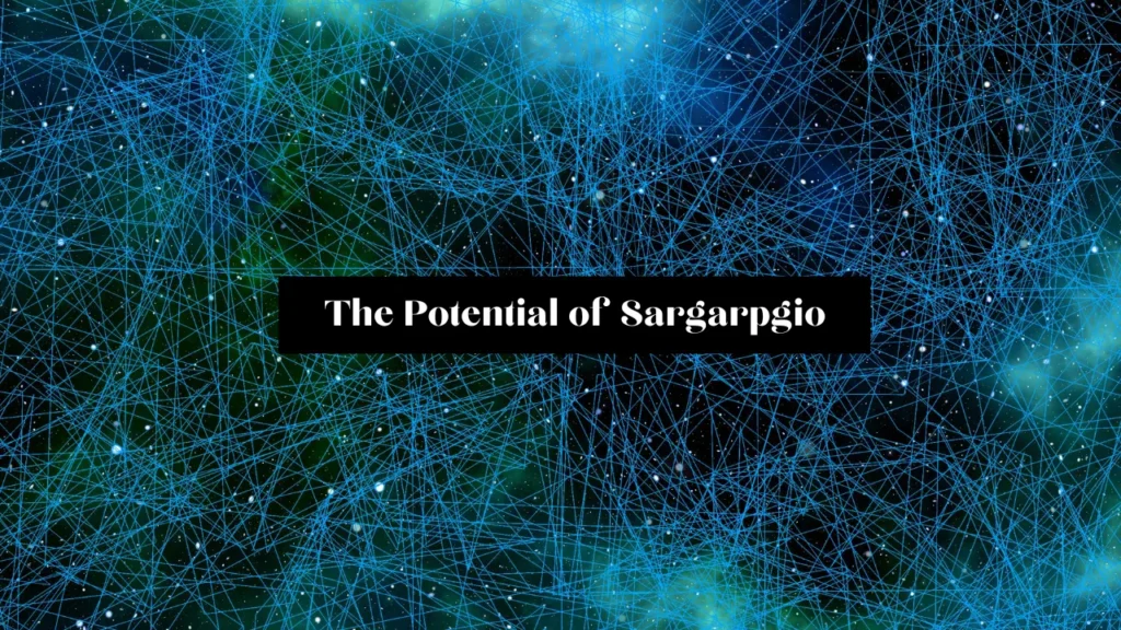 The Potential of Sargarpgio